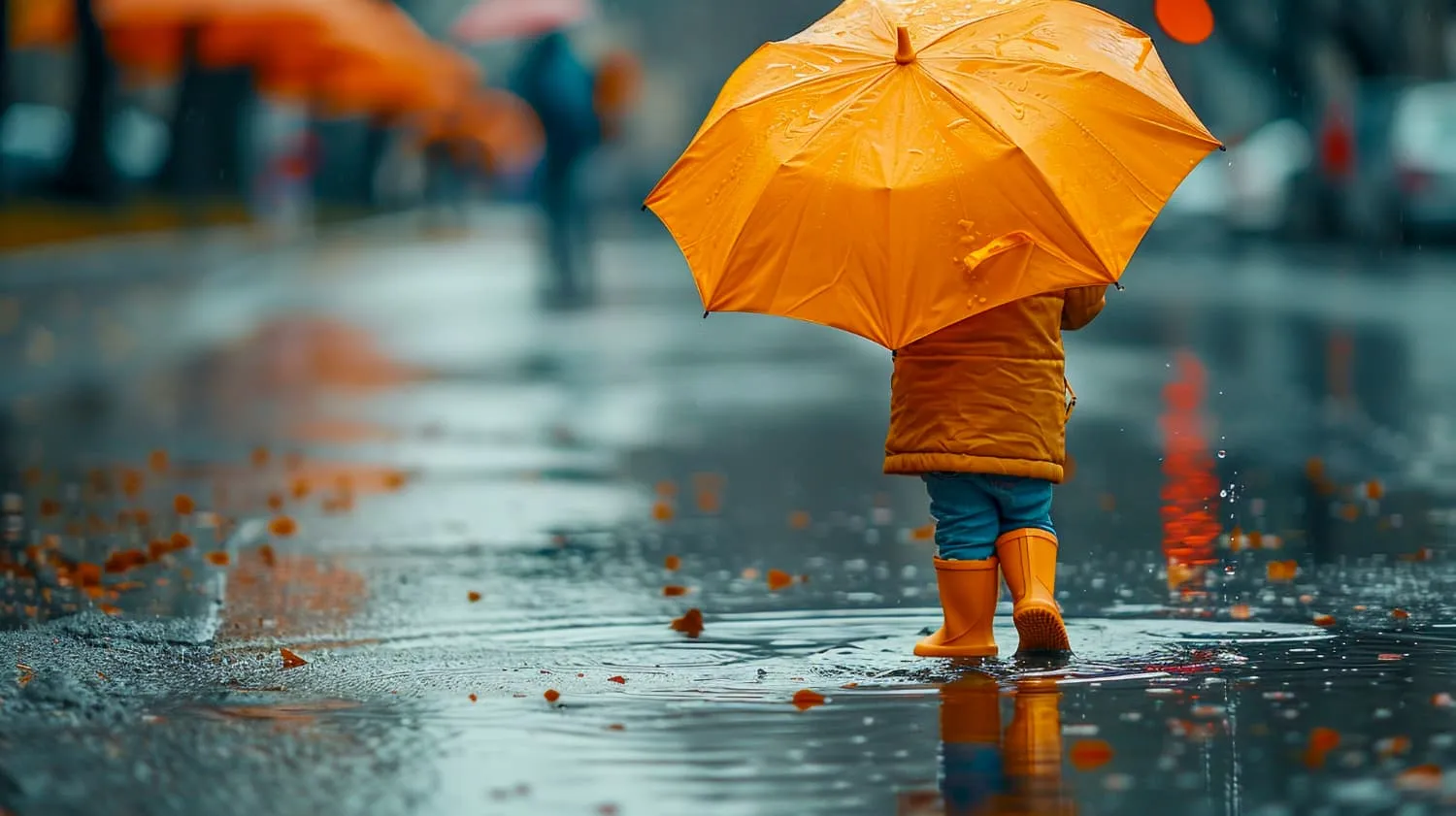 A Rainy Day 一个下雨天